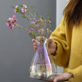 Modern Style Glass Transparent Vases